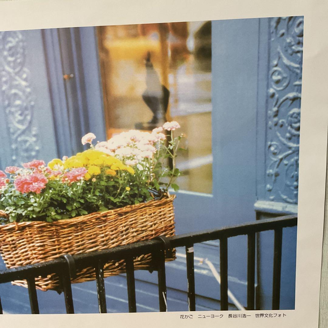 長谷川浩一 アートの旅より 「花籠」 ニューヨーク 世界文化フォト 1点