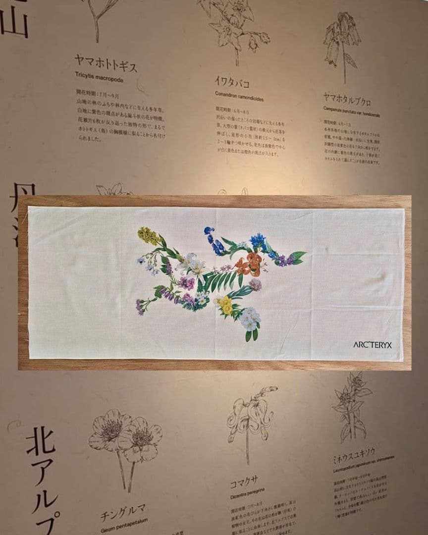 ARC'TERYX アークテリクスBotanical Birdプリント 手ぬぐい