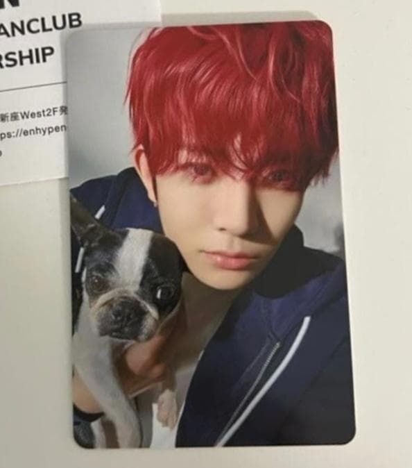 ENHYPEN ヒスン アンケートトレカ 2025 - メルカリ