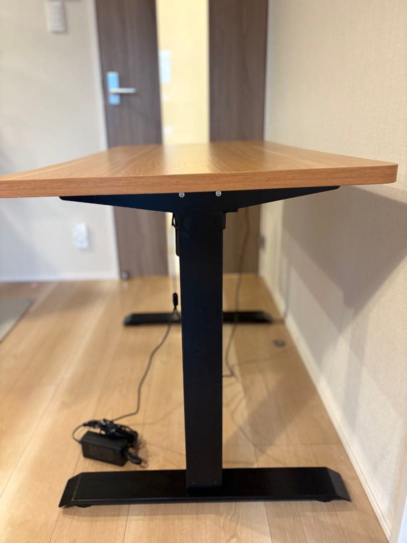 FLEXISPOT 昇降デスク パソコンデス 幅120cmスタンディングデスク