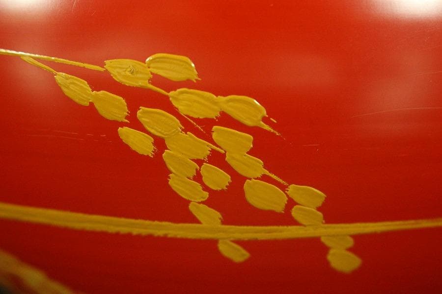 茶道具 托鉢 朱塗 菓子器 竹内栖鳳画 共箱(A872)