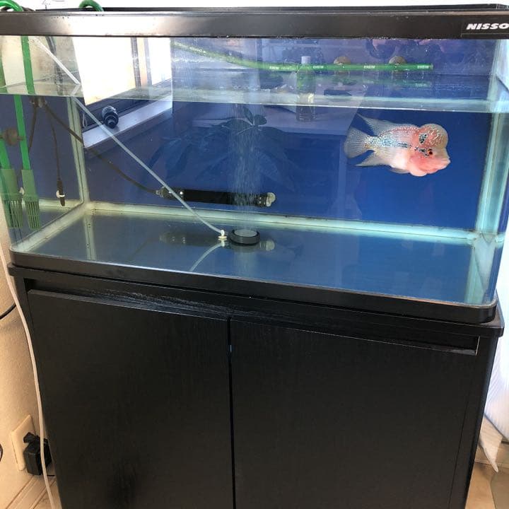 引取限定 90センチ水槽セット