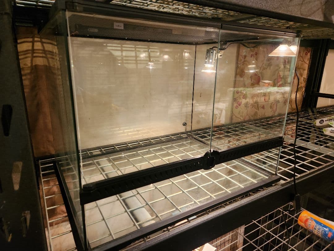 引取レインフォレストタンクL中古1台 マイクロサン28w中古1台