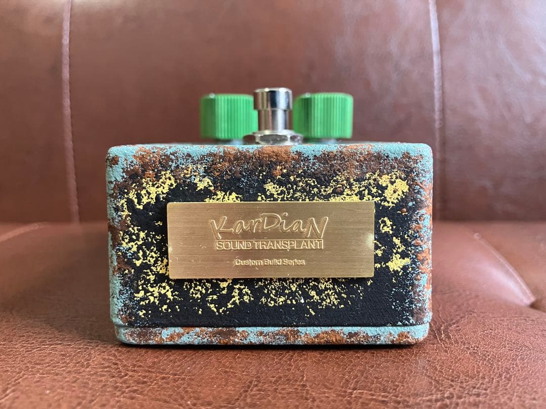 【美品】 KarDiaN SEROTONIN ORIGIN S.T.