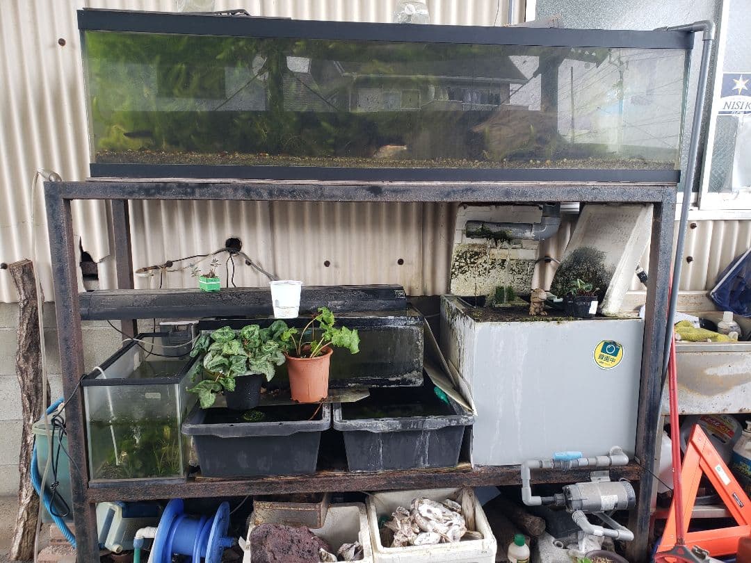 引取限定 1800 オーバーフロー水槽 アクリル 濾過槽 レイシーポンプ