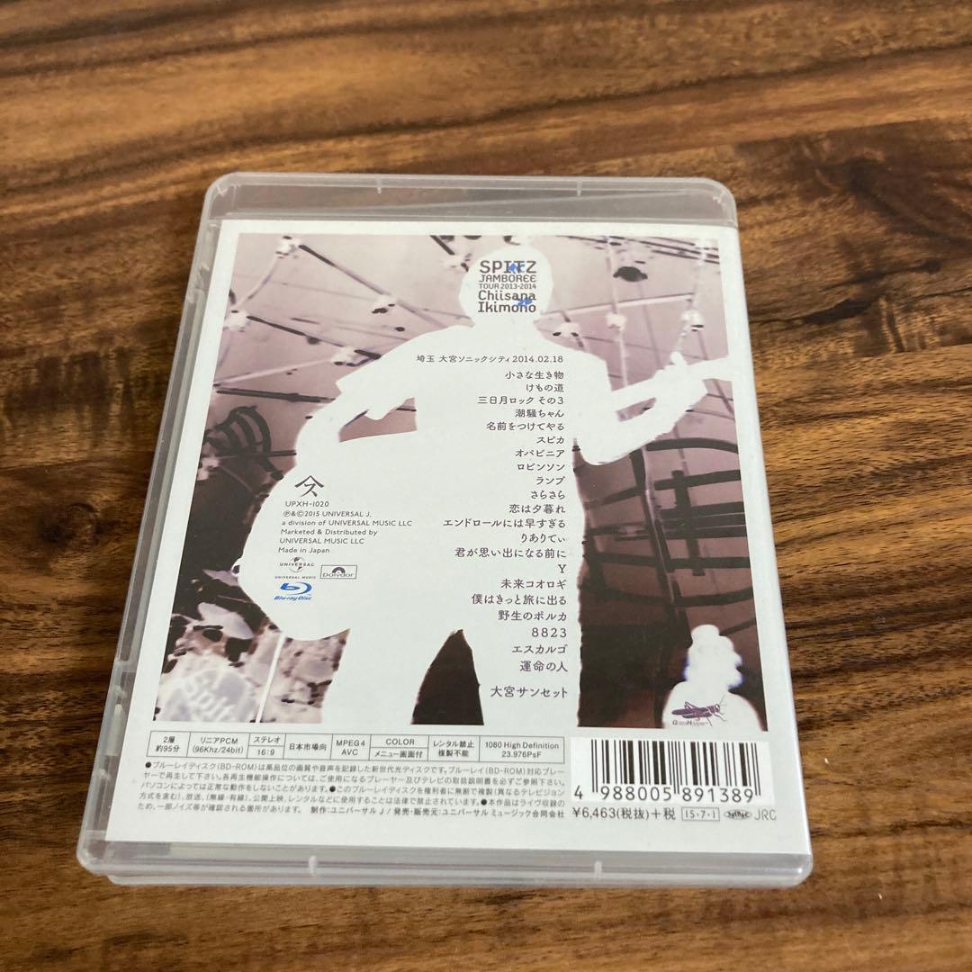 希少ミクロソリウムsp.サラワクカピットウエスト5株40葉以上の活着途中