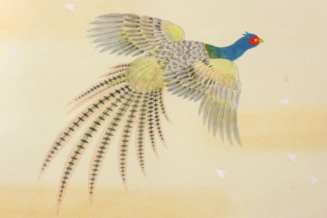 No5417掛軸 前川修 「雉子」 紙本着色 共箱 日本画 花鳥 古画 送料
