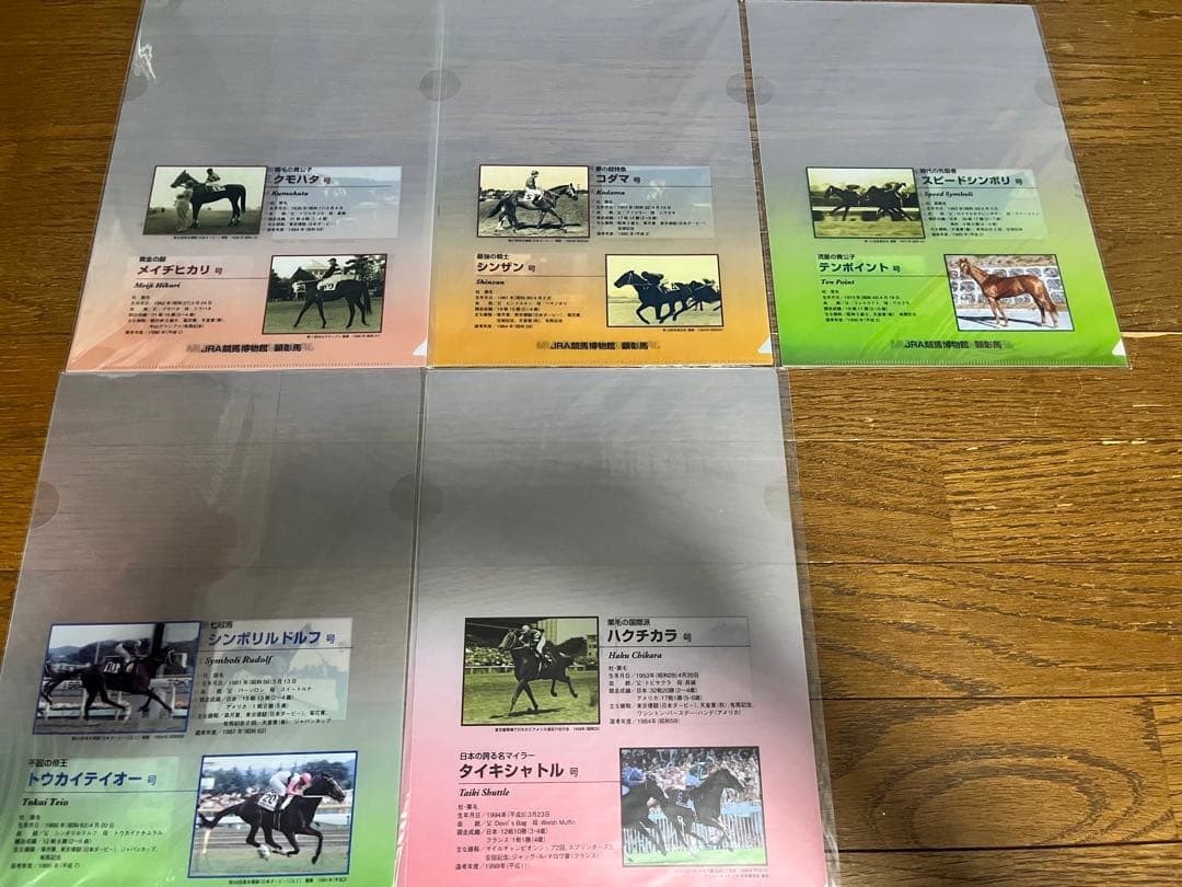 競馬グッズ JRAクリアファイル 28枚 競馬 JRA