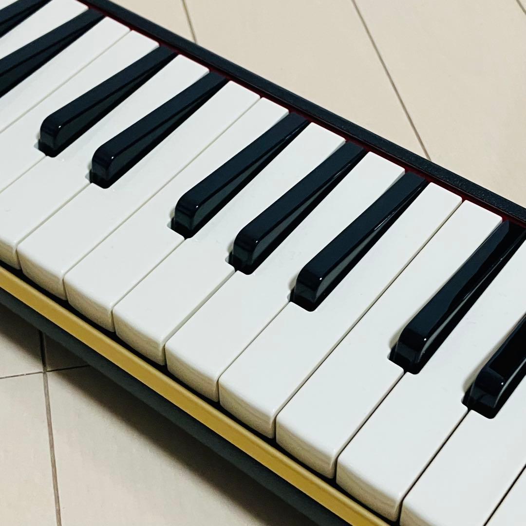 2025年最新】Yahoo!オークション - 大正琴(和楽器 楽器、器材)の中古品