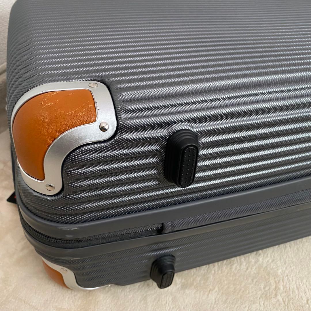 【展示品】SWISS MILITARY 機内持ち込みサイズ　キャリー　38.5L