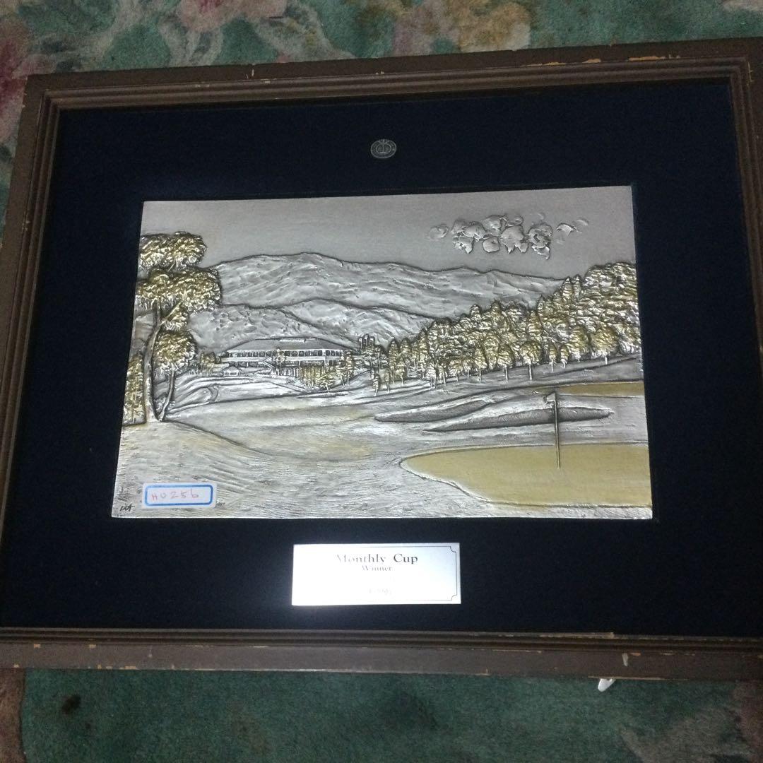 NO 256材質わ分かりません、鉄でわありま線、アルミ?ーステンレス