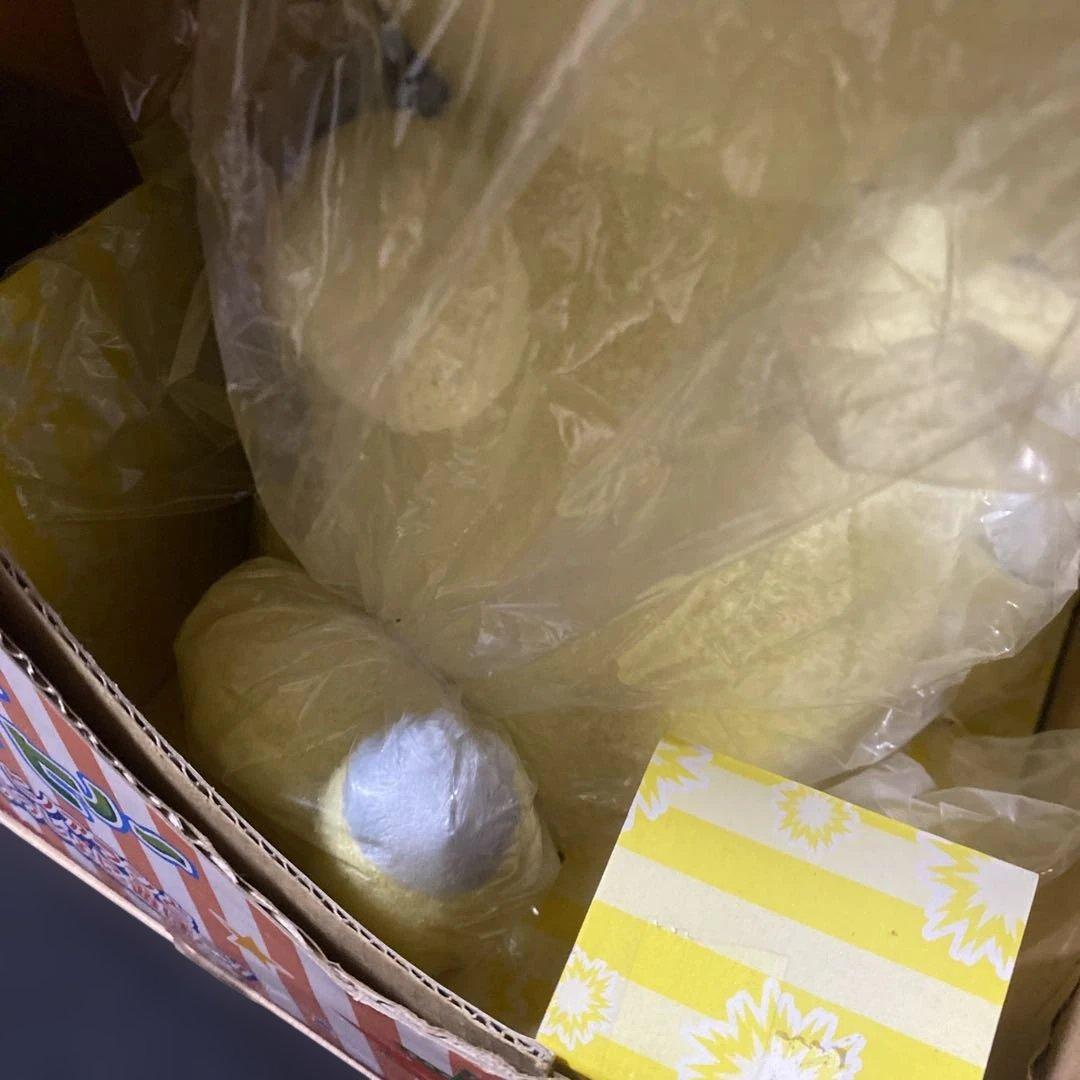 ポケモン　おしゃべりぬいぐるみ　ヒノアラシ　ぬいぐるみ