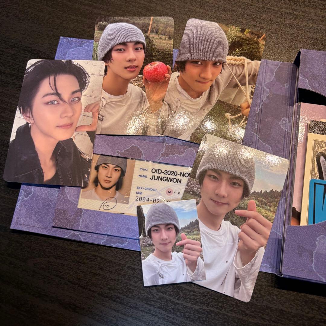 ENHYPEN THE SIN:VANISH ジョンウォンセット - メルカリ