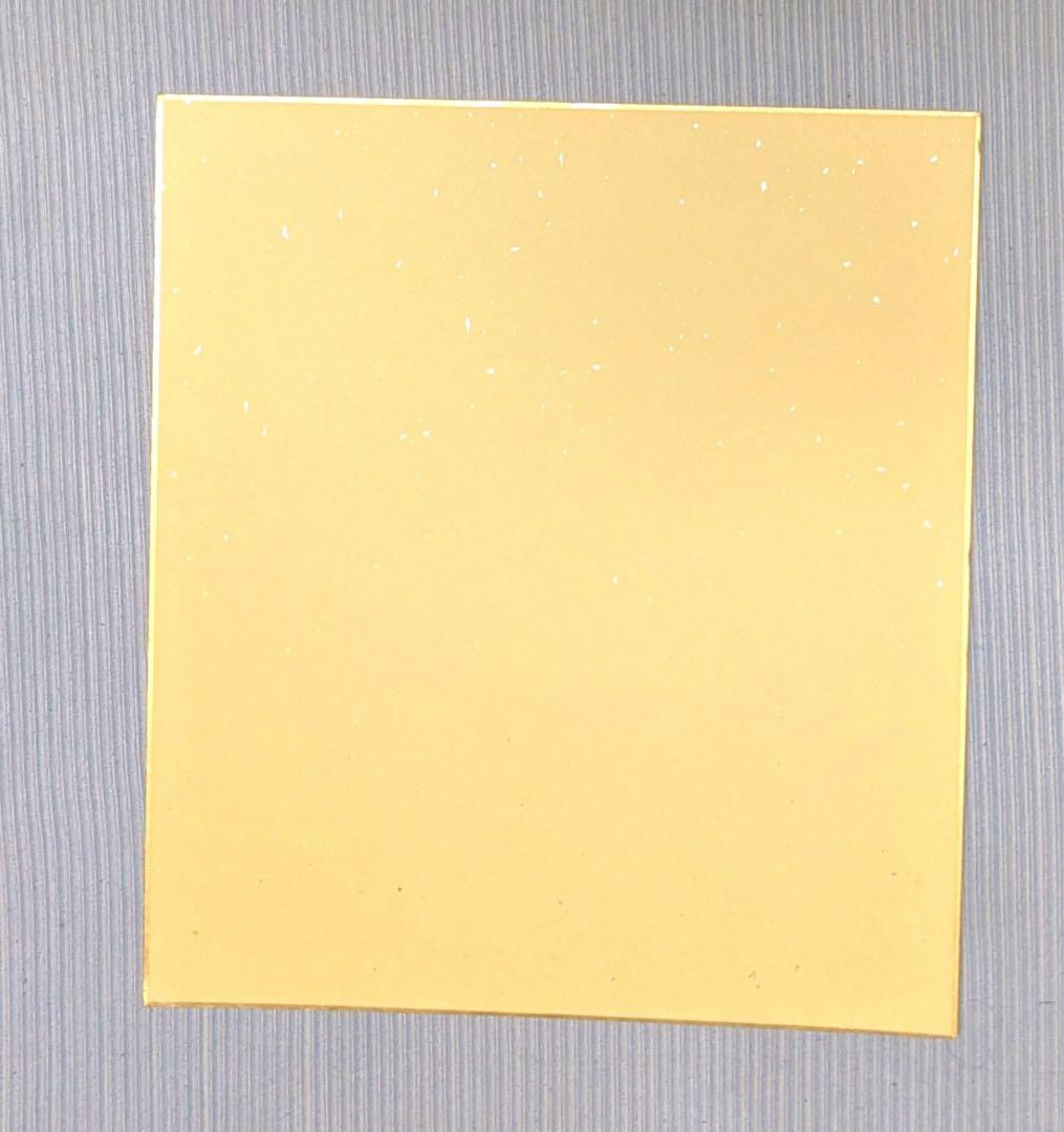 宮崎駿 直筆サイン 色紙 トトロ 直筆イラスト ジブリ