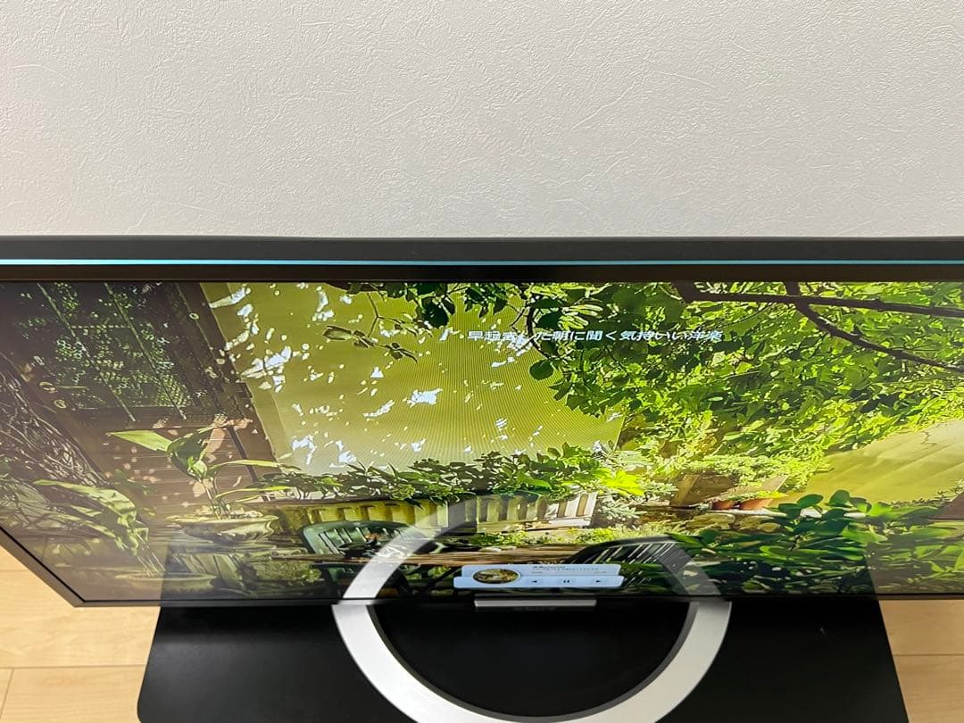 FUNAI 液晶テレビ FL-24H2010 2019年製 フナイ FL-24H2010 [24インチ