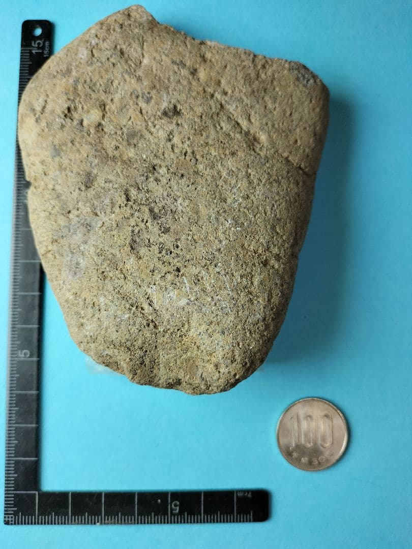 抉り入り磨製石斧? (出土品) 縄文時代前期 ? 約12㌢×9㌢×2㌢です