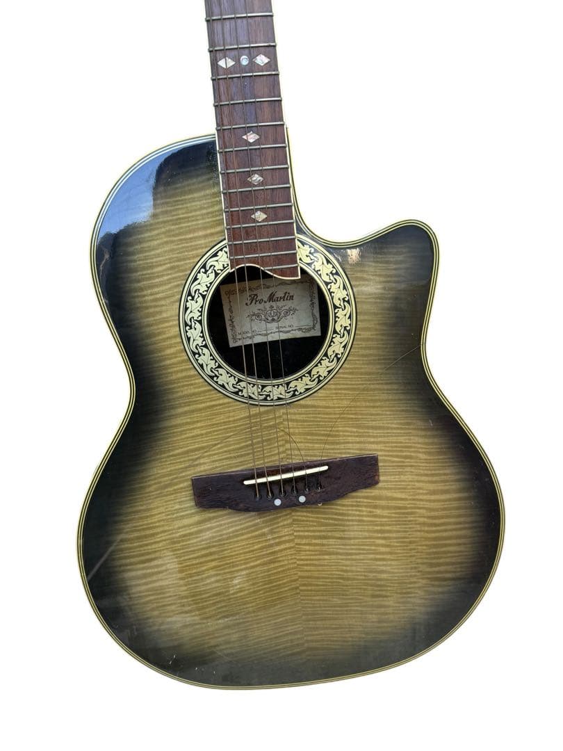 プロマーティン エレアコ Pro Martin EA350BLS プロマーティン