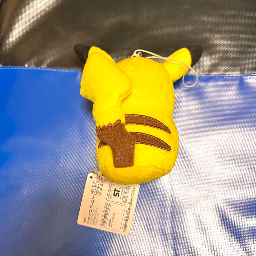 【タグ付き】劇場版ポケットモンスターキミにきめた！ピカチュウ