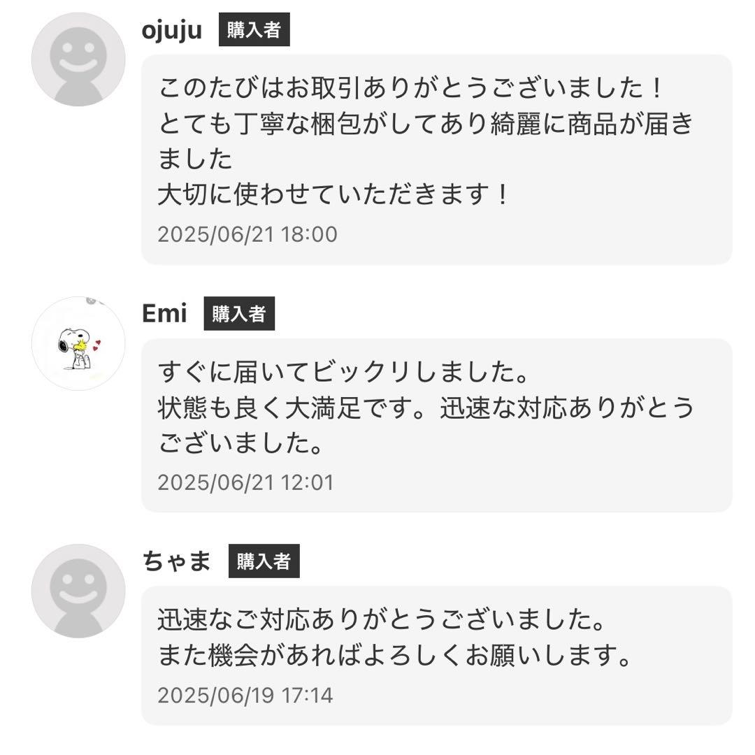 Enhong フルート 初心者向け ハードケース付き 美品