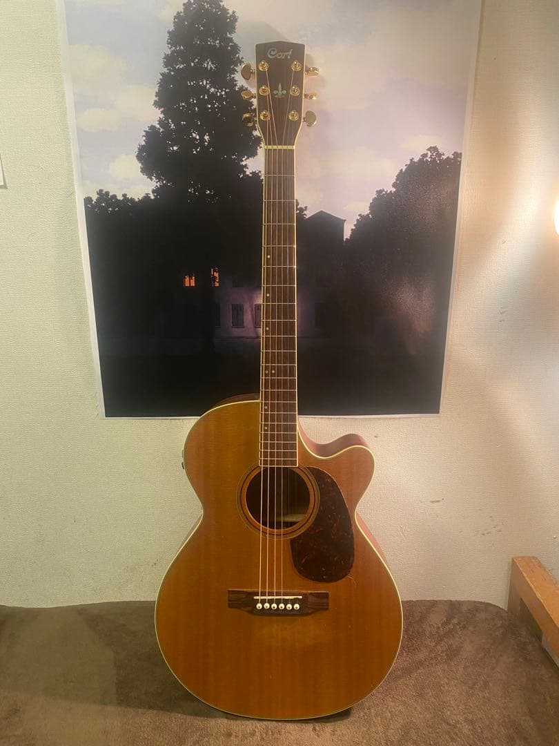 Cort SF-5X エレアコ トップ単板 - メルカリ