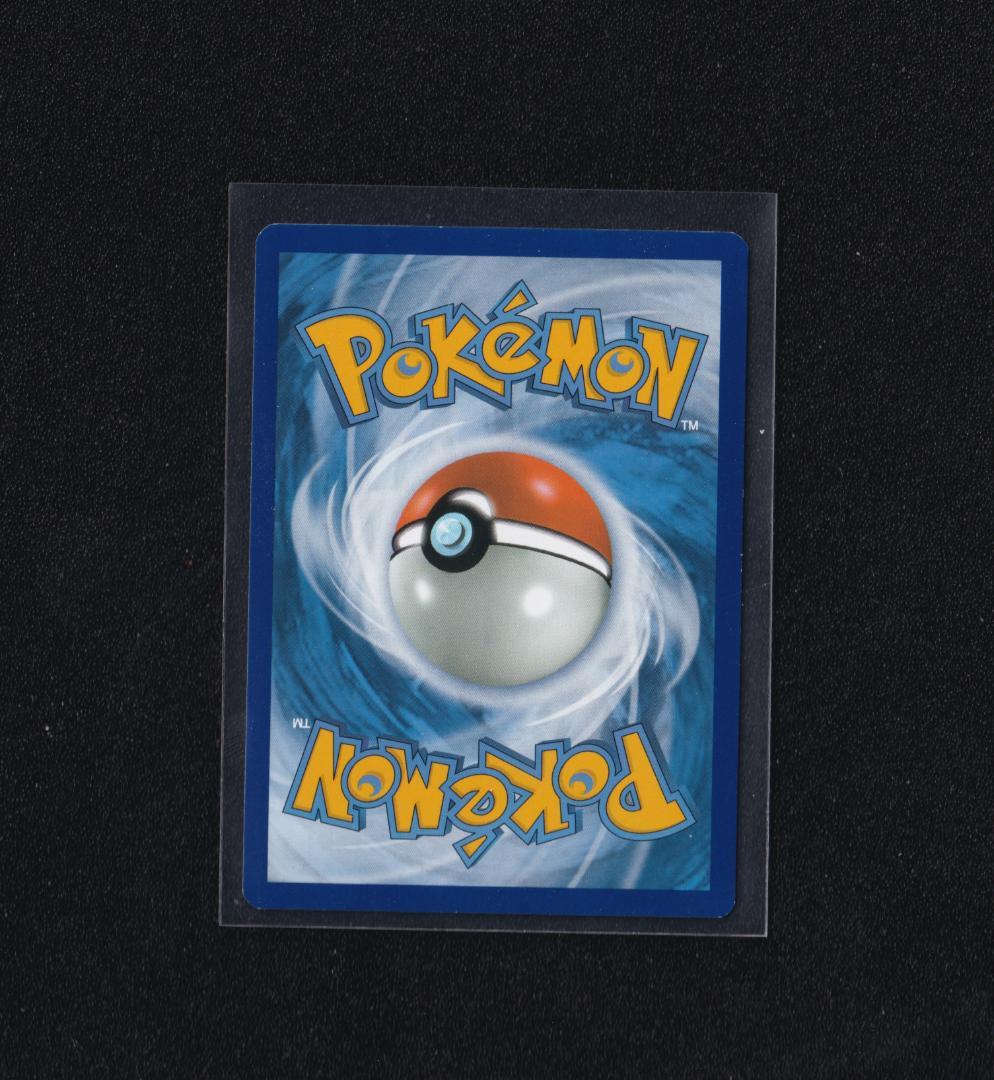 英版アローラのサンドパン プレリリース版STAFFプロモ