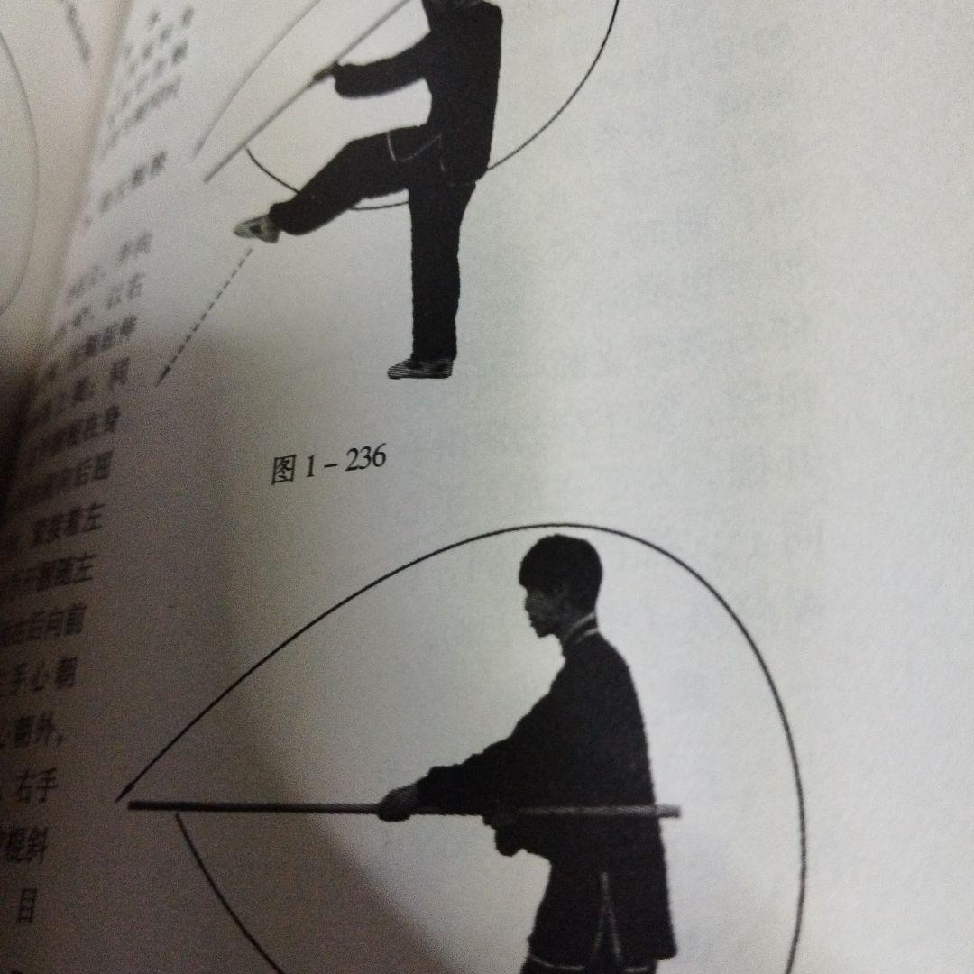 宋氏形意拳続編 上下巻 宋光华ともう一冊セット