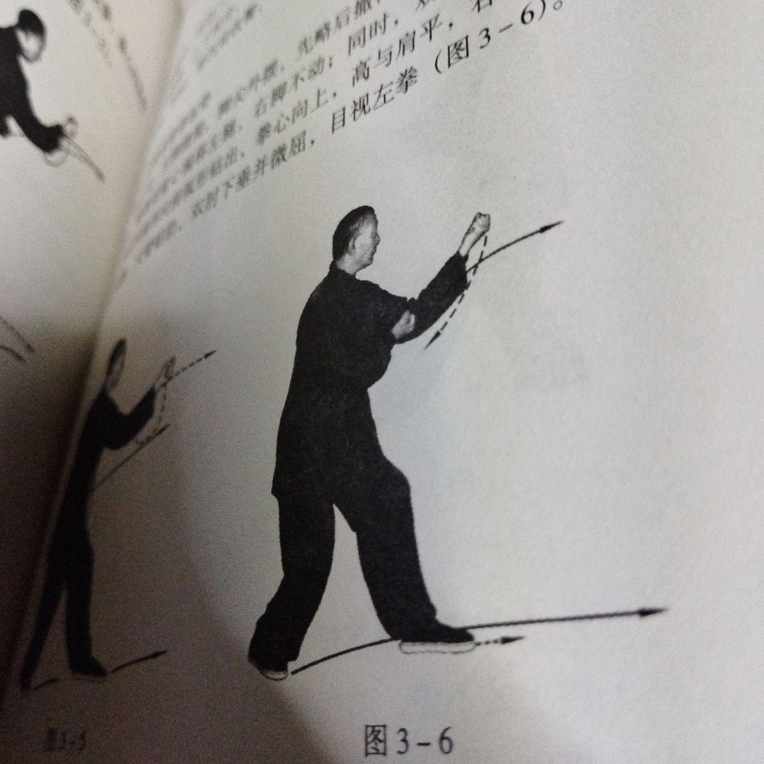 宋氏形意拳続編 上下巻 宋光华ともう一冊セット