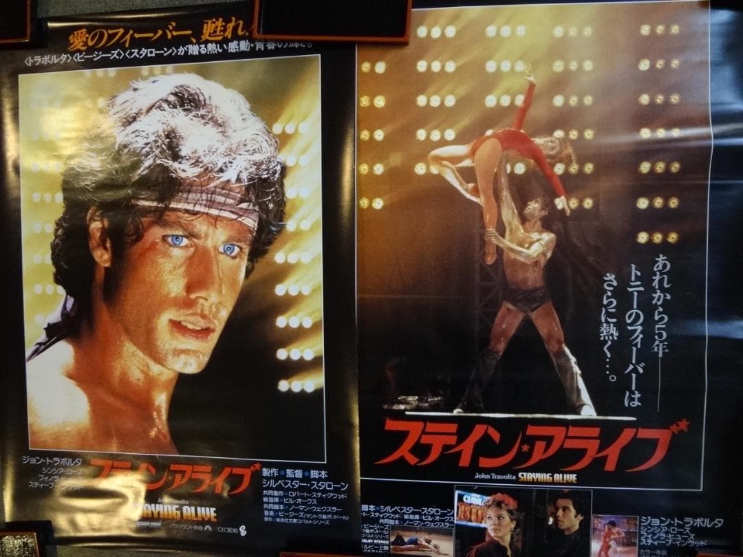 秘密のスクリーン／ShoichiHasegawa作