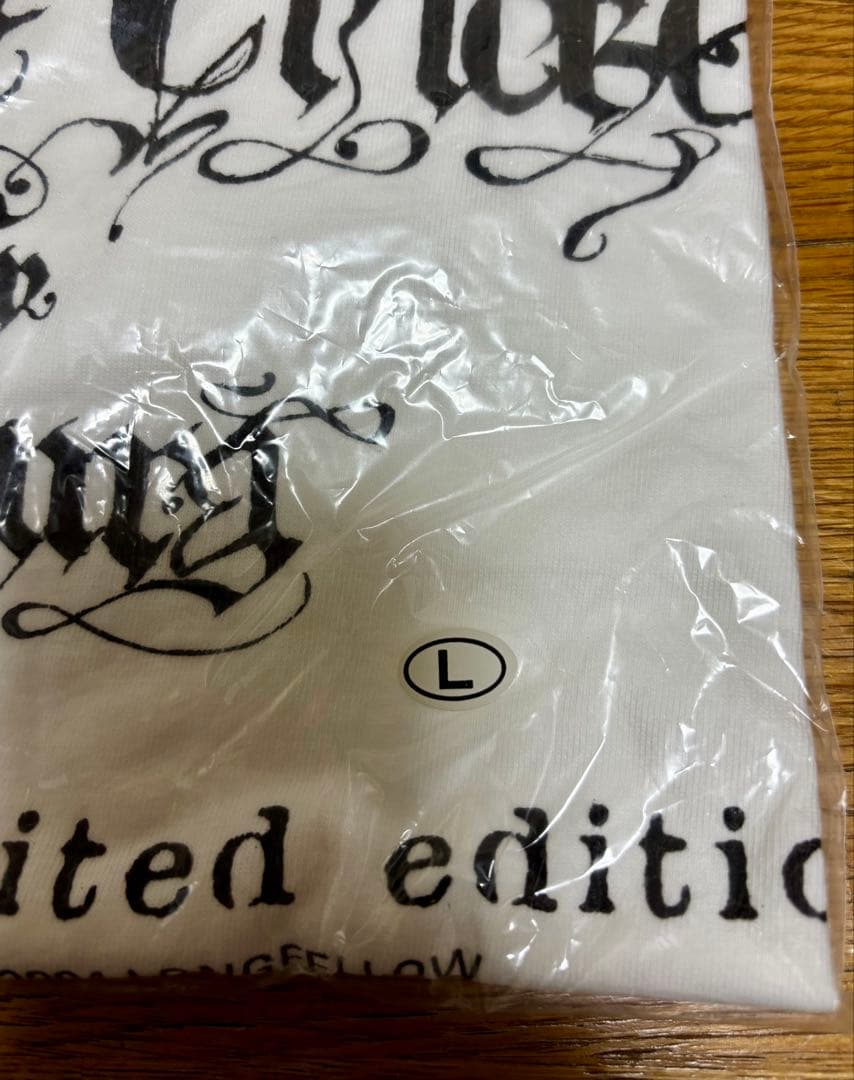 BUMP OF CHICKEN 2004年 佐倉フリーライブT ☆希少☆