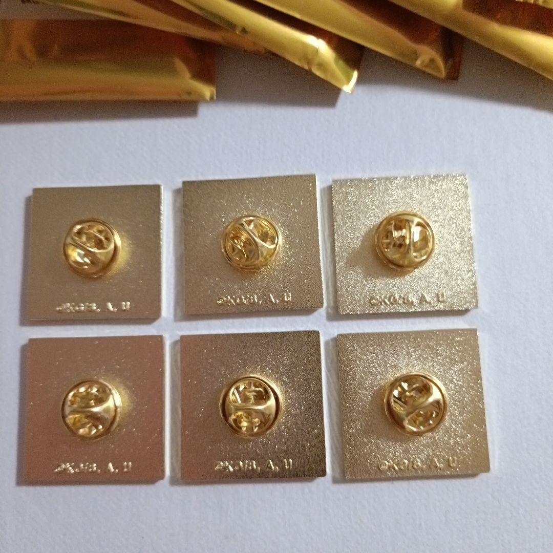 鬼滅の刃 隊士百景 コレクションピンズ 竈門炭治郎 6点セット