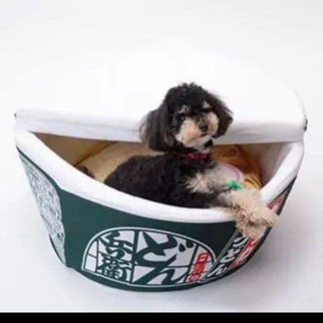 セール中 どん兵衛 ペットベッド Amazon.co.jp: 猫ベッド 犬ベッド 冬