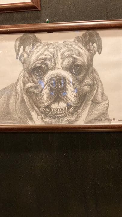 「鉛筆画アート」商品名　ブルドック　新品未使用