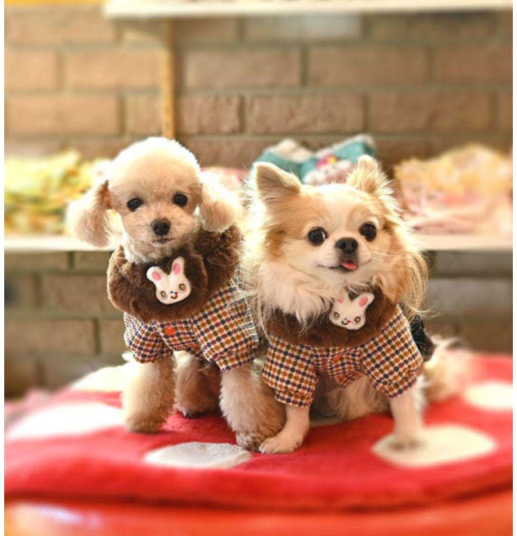 J＆Kanimals はるちゃんコート ツィードジャケットワンピース 3SーL