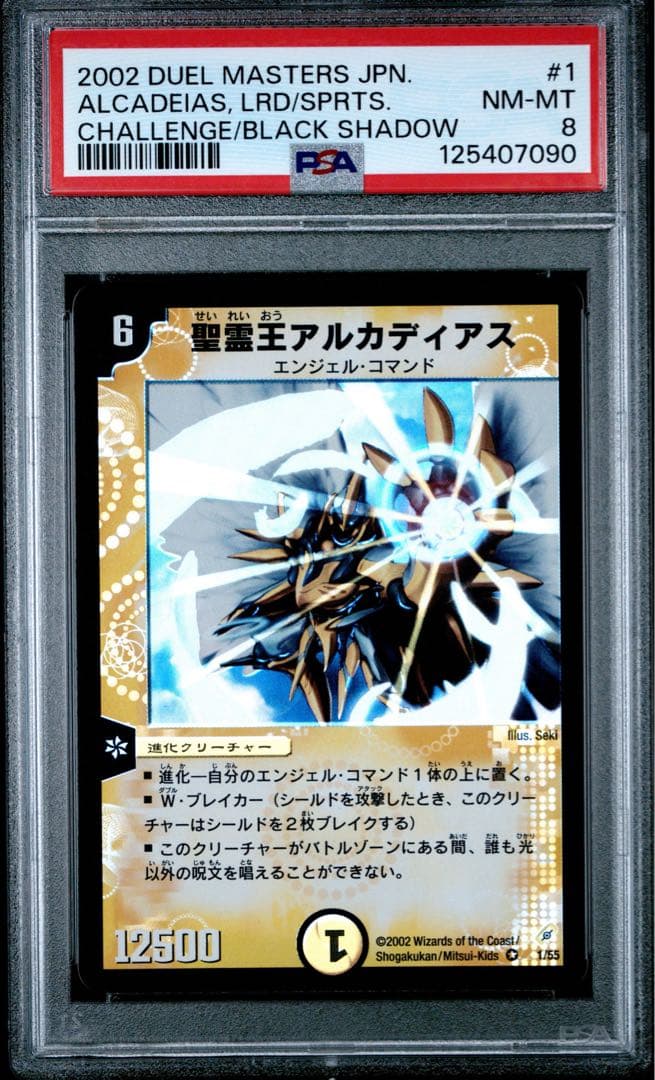 聖霊王アルカディアス 初期 VR PSA8 デュエルマスターズ 旧枠 PSA10