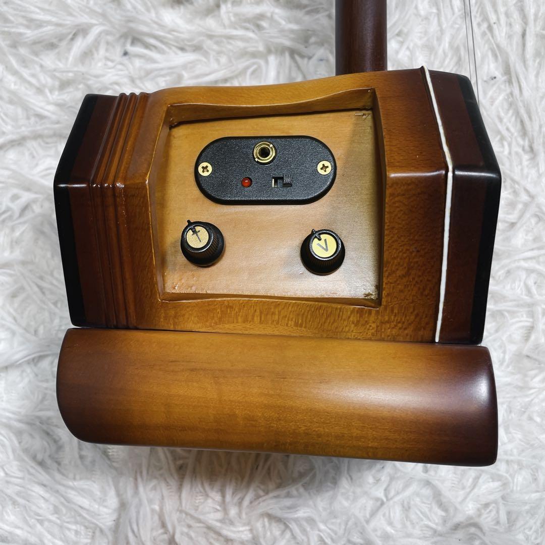 極美品　電気　ニ胡　エレキ　セミハードケース付き