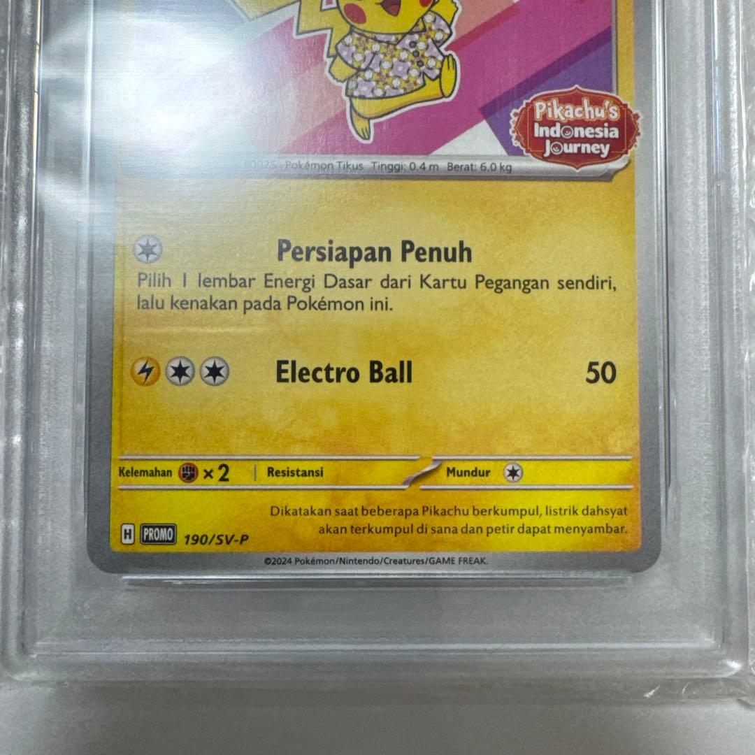 ✅インドピカチュウ❣️✅