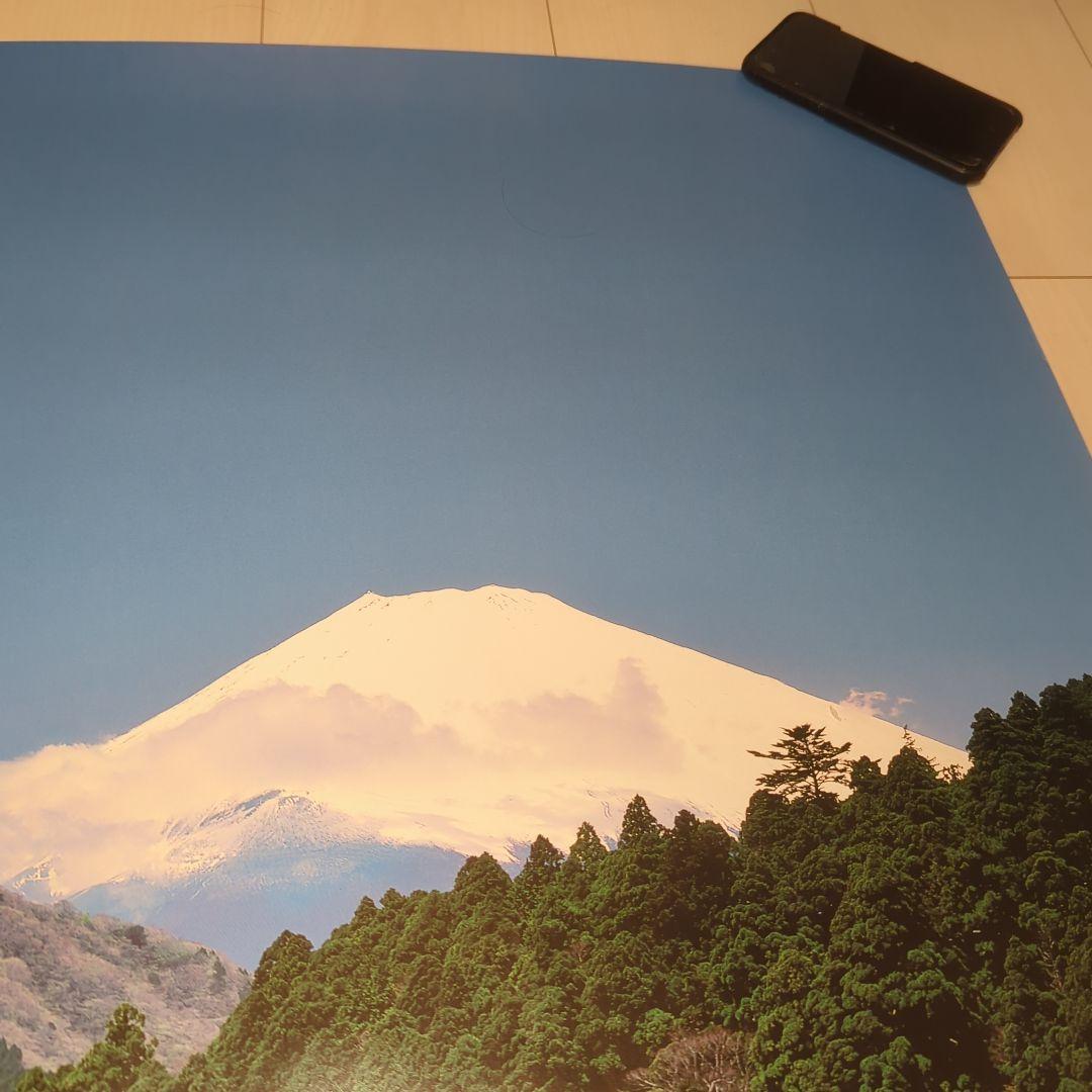 B1ポスター 綾波レイ エヴァンゲリヲン新劇場版:破箱根補完計画 未使用