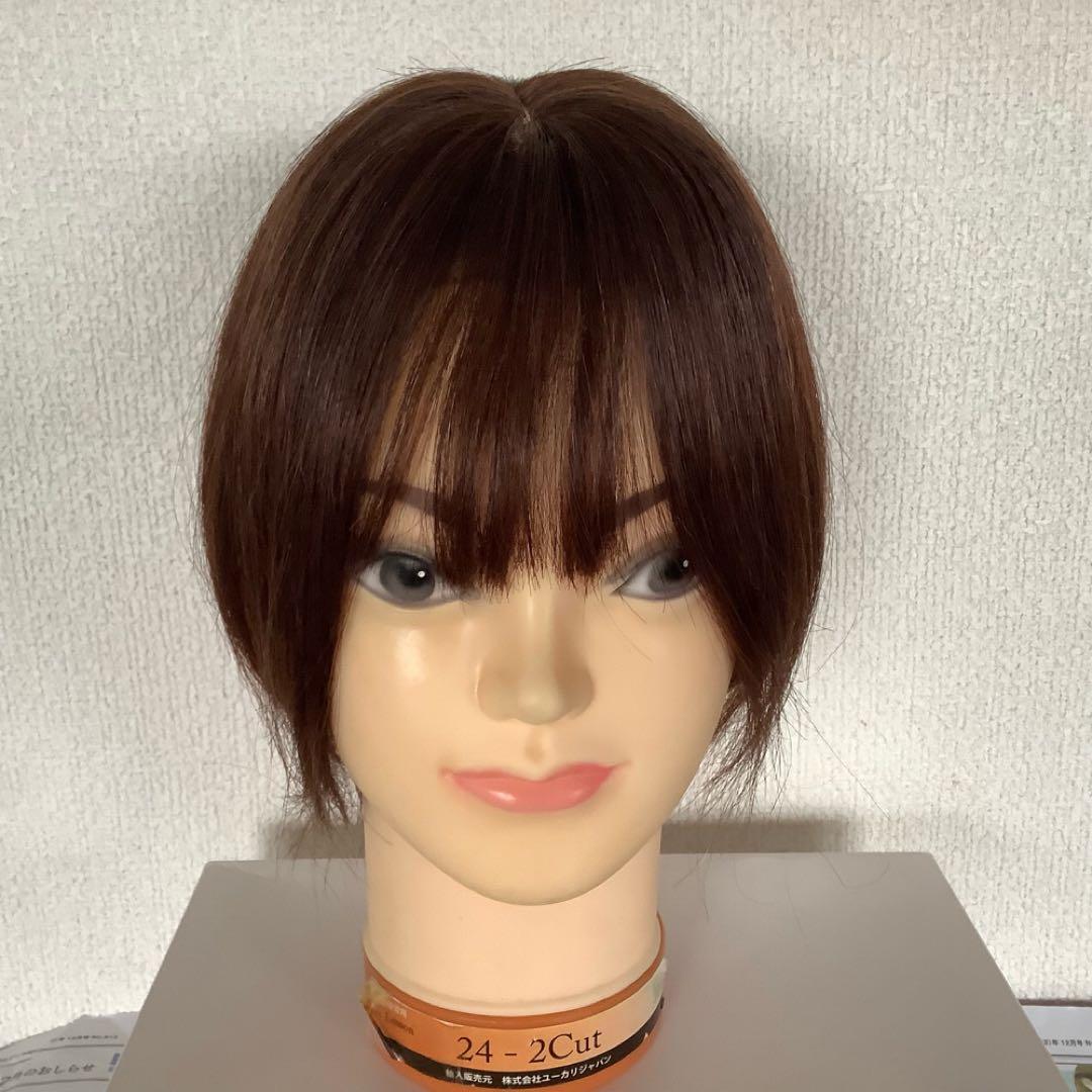 常連客 人毛100% 総手植 医療 部分ウィッグ ヘアピースブラックショート前髪