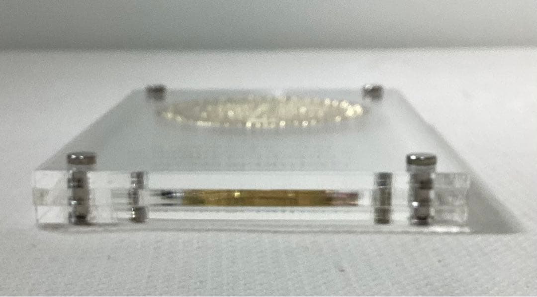 XJAPAN 復活10周年記念　ゴールドメダル　〜YOSHIKI復活の夜〜