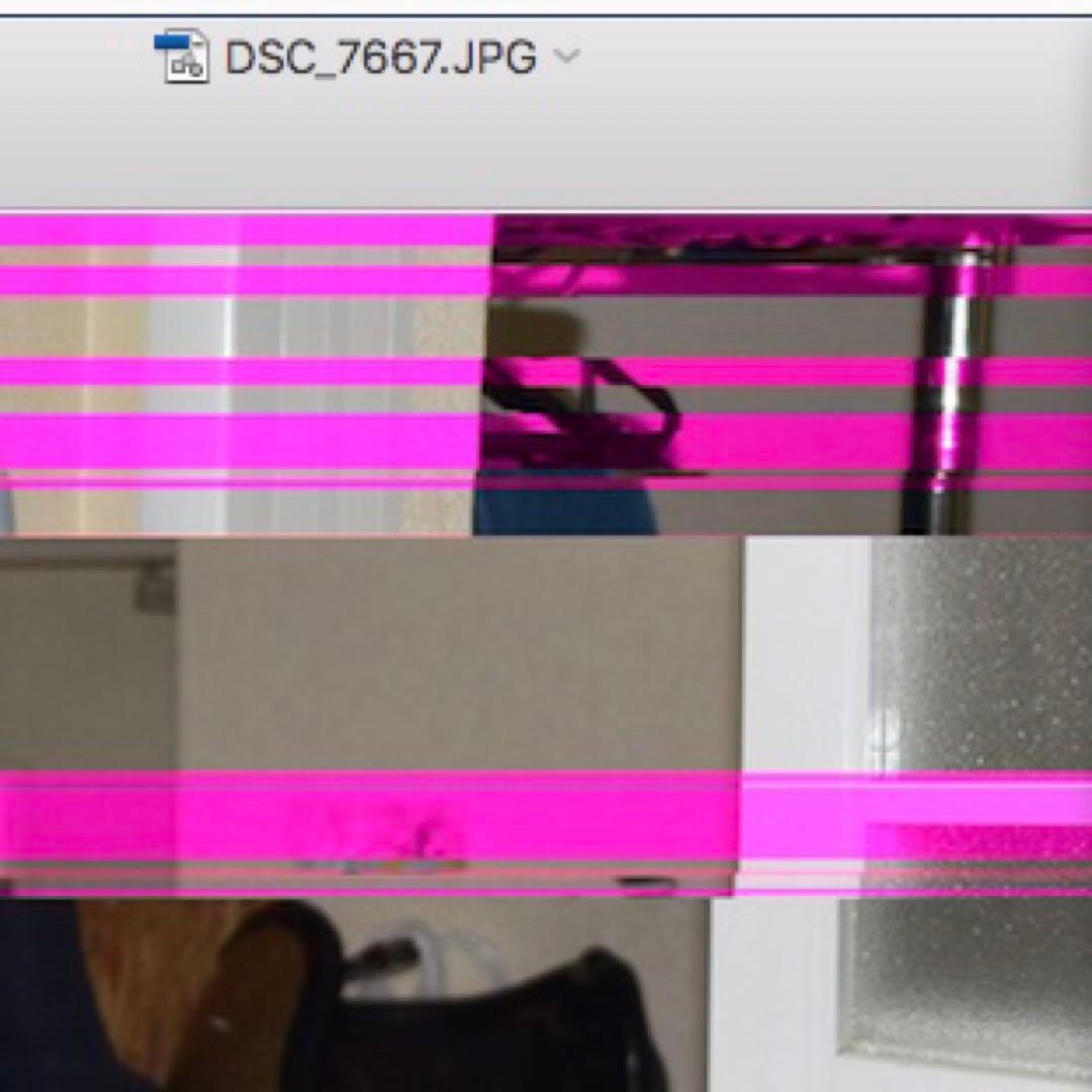 ジャンク品】Nikon D3300 デジタル一眼レフカメラ のみ バッテリー無