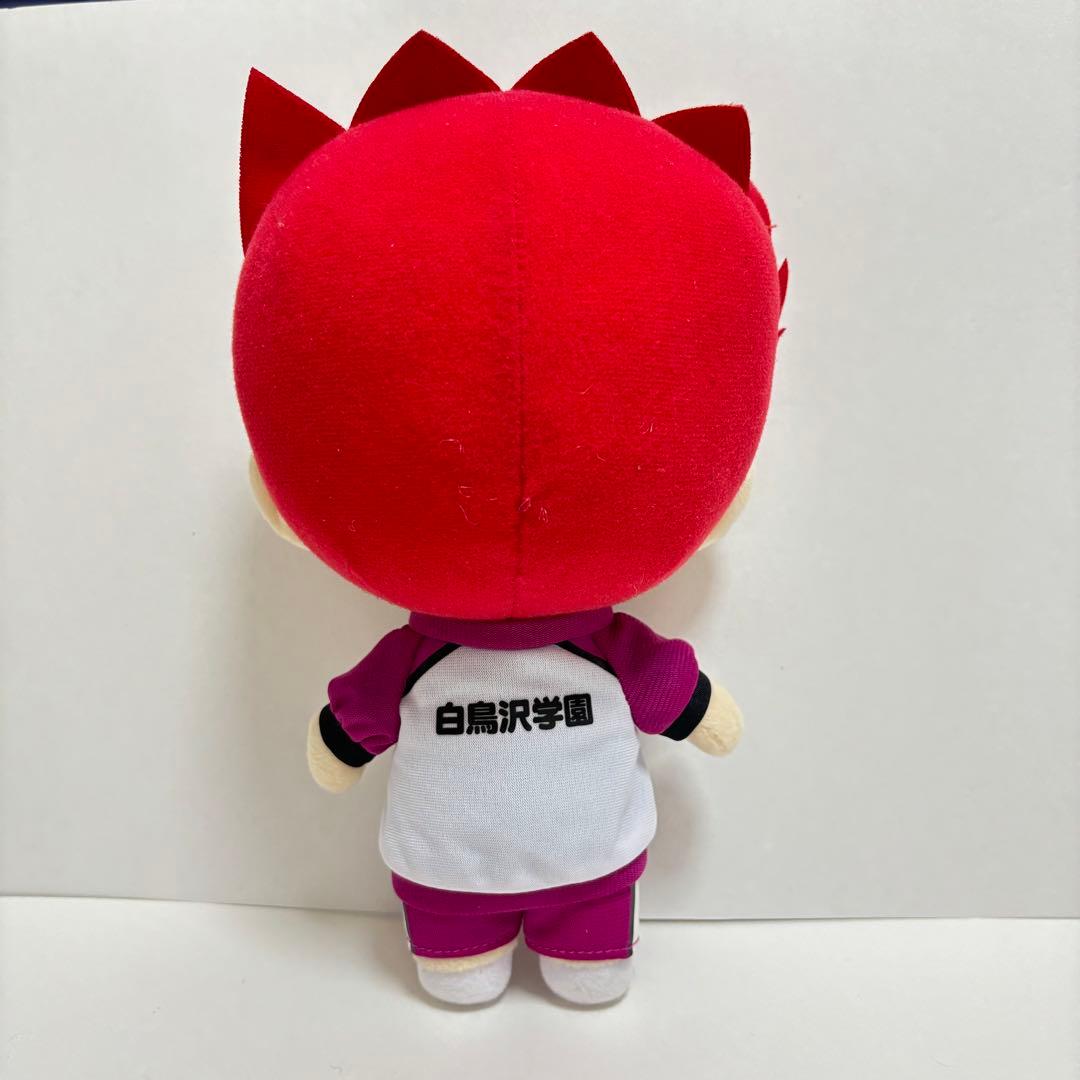 ハイキュー！！ にとたん おおきいぬいぐるみ 天童覚