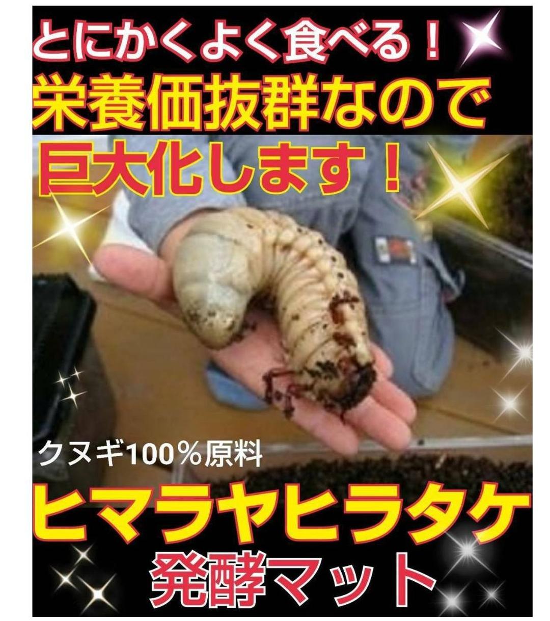 カブトムシ幼虫の餌、産卵に抜群！改良しました！発酵マット【たっぷり