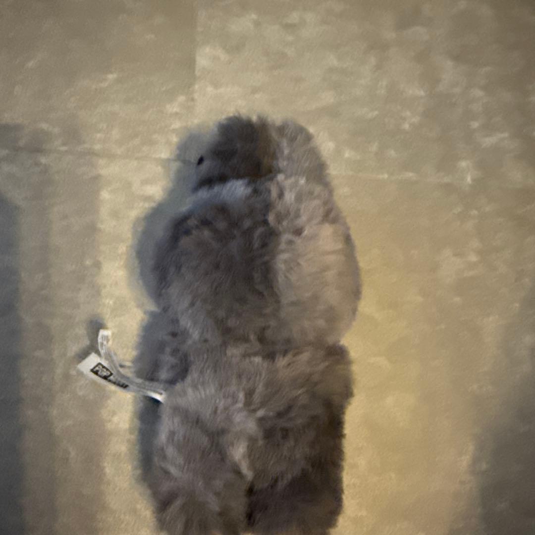 正規品ラブブエナジーシークレット