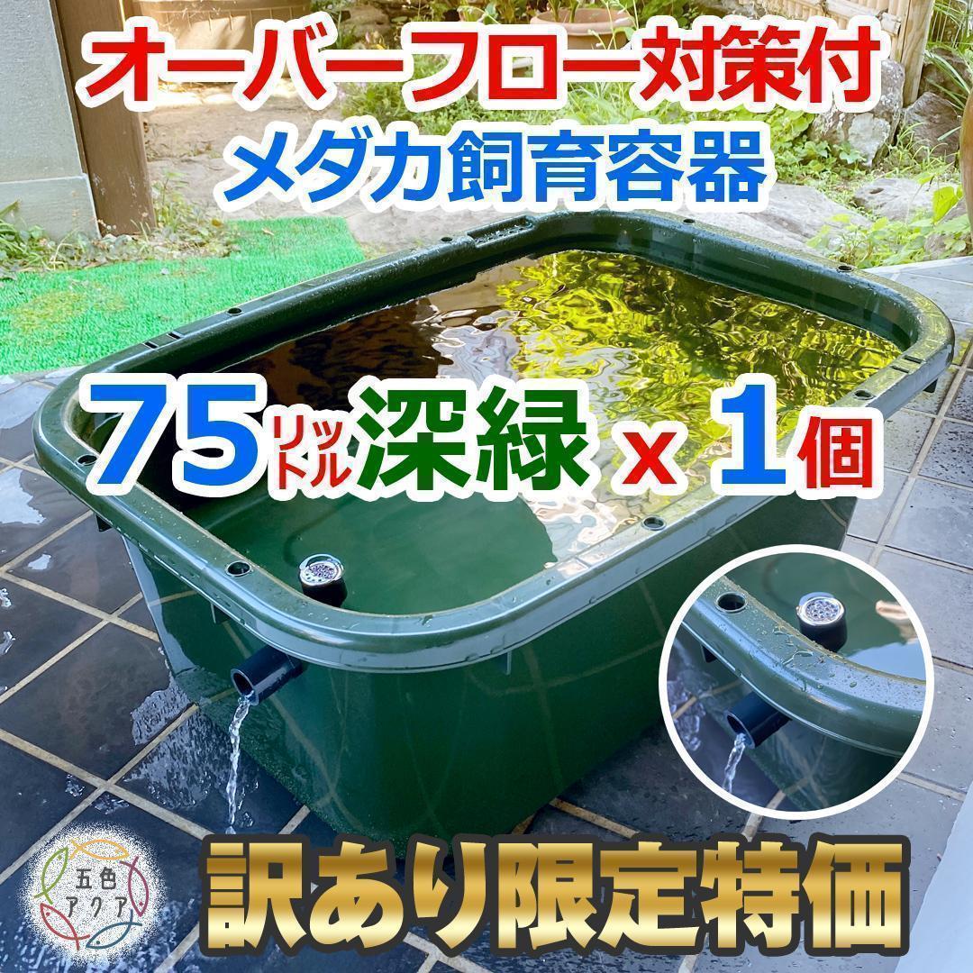 訳あり特価③】メダカ飼育ケース 75㍑深緑x1個 オーバーフロー 金魚