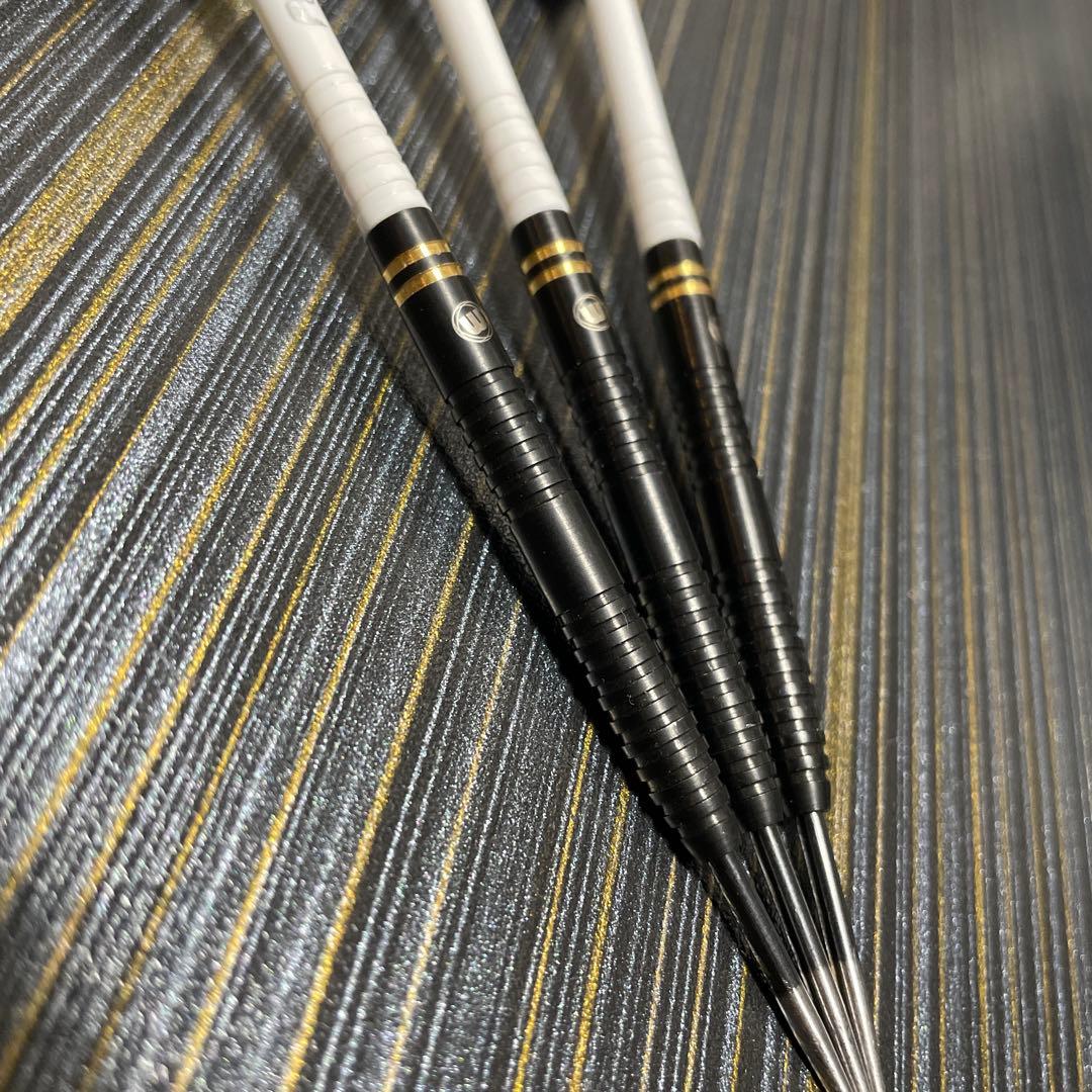 定価11800円 スティールダーツ ハードダーツ ダリルガーニー 23g