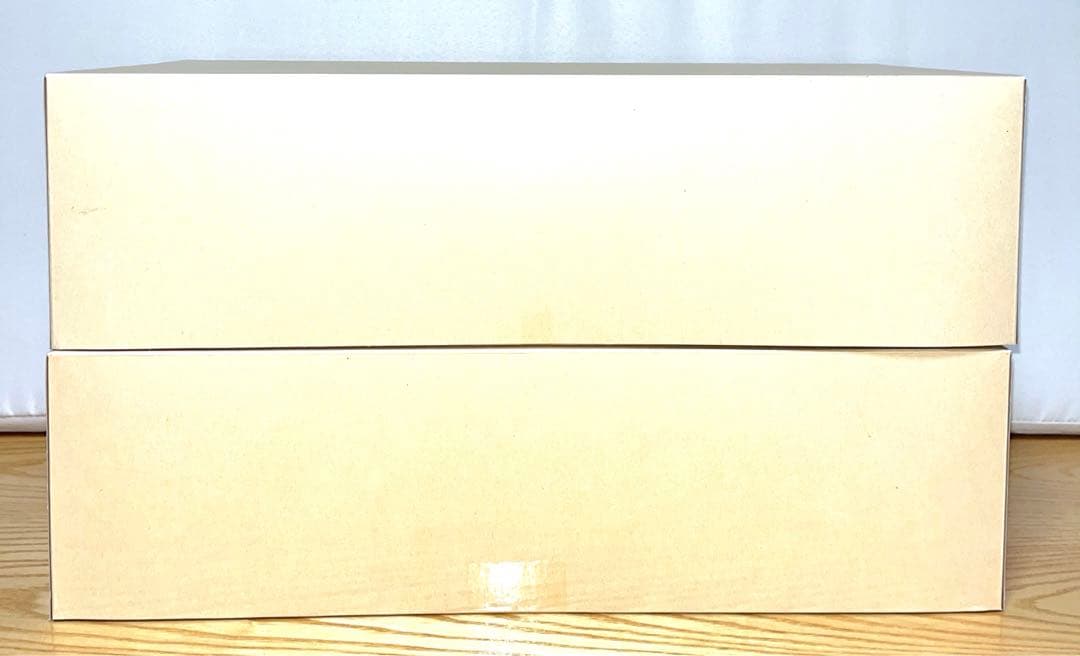 タミヤ　MOTUL AUTECH GT-R ＆RAYBRIG NSX ボディ2台