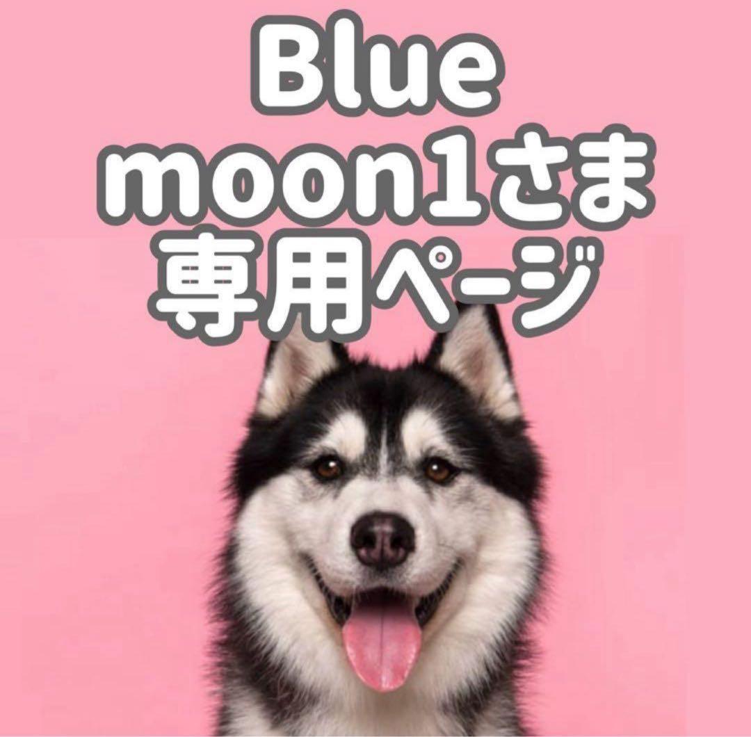 GFチ10*2◯● Blue moon1ページ●◯ GFチ10*2◯○ Blue moon1ページ○◯ BLUE MOON BLUE ブルー