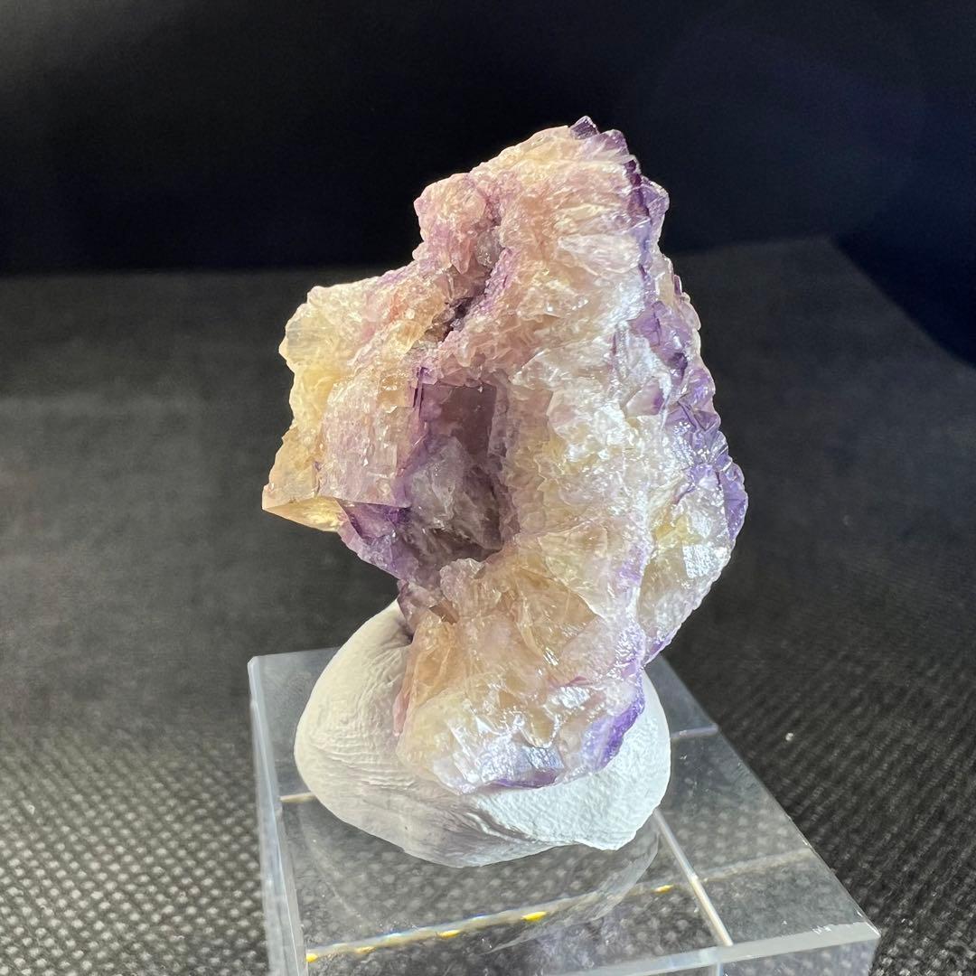 希少イギリスダービーシェア（Derbyshire）フローライト