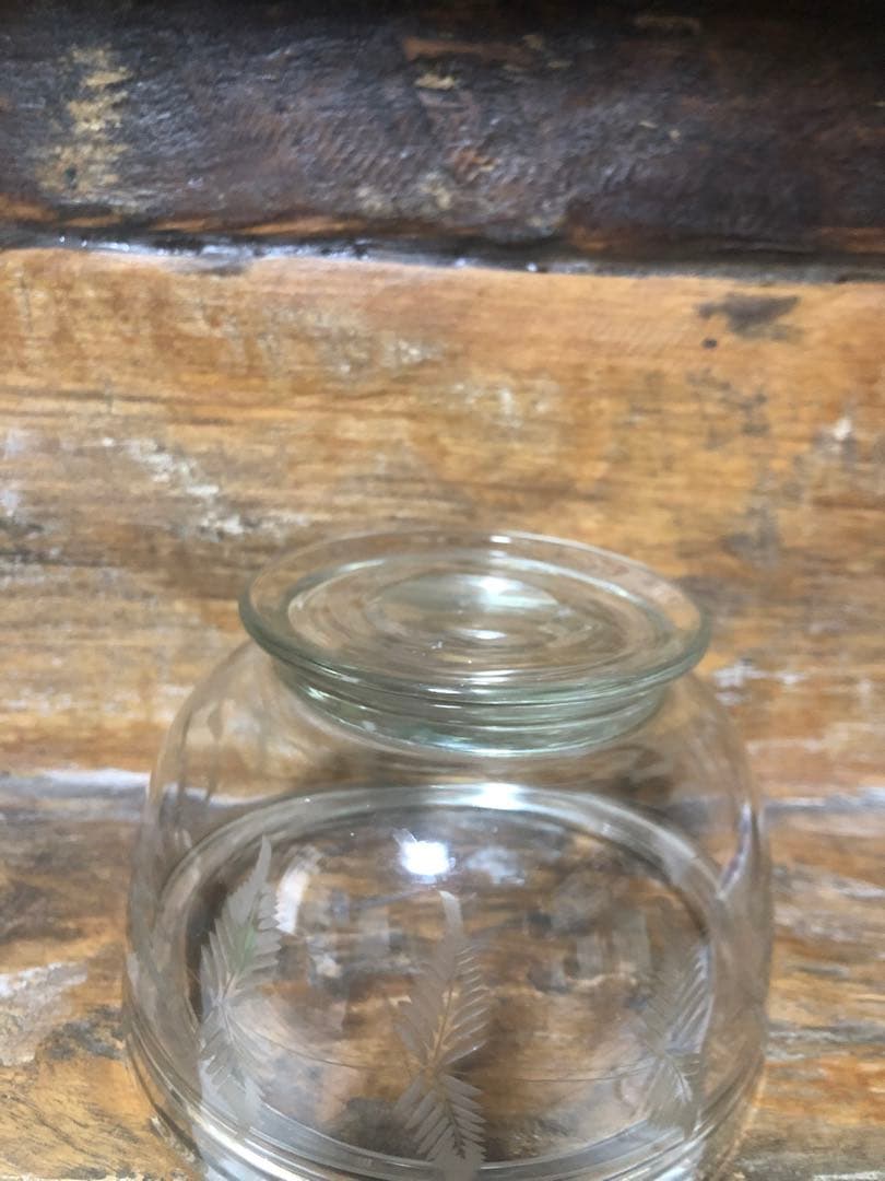 ガラス容器　レトロ　羊歯