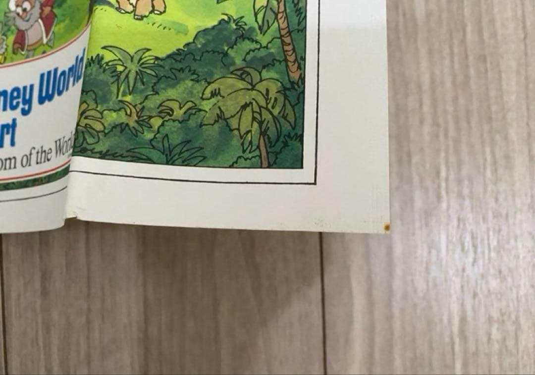 レア！ウォルトディズニーワールドリゾート ポスター